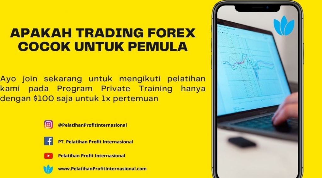 Apakah Trading Forex Cocok Untuk Pemula Pelatihan Profit Internasional