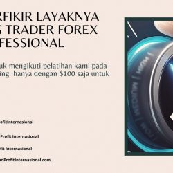 Cara Berfikir Layaknya Seorang Trader Forex Professional